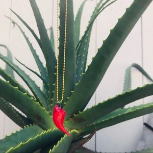 🔥NEW🔥🌶Chili Pepper Necklace